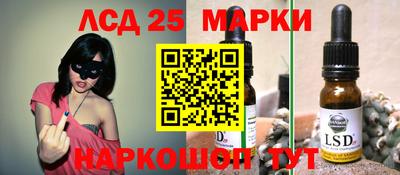 гидра Новозыбков