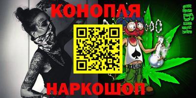 гидра Новозыбков