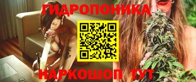 гидра Новозыбков