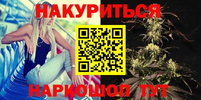 гидра Новозыбков