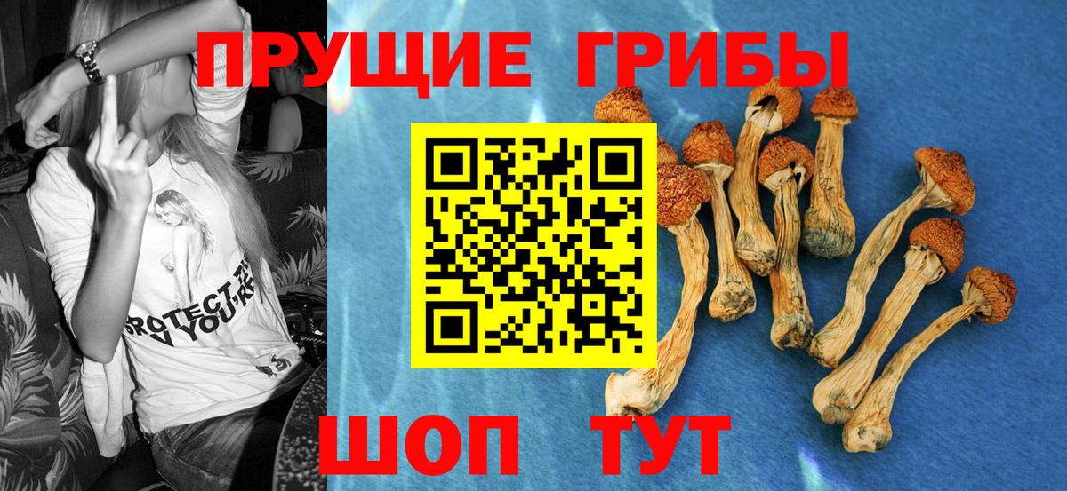Соль-Илецк  Галлюциногенные грибы GOLDEN TEACHER  Вход с VPN 