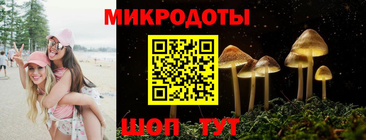 Псилоцибиновые грибы Psilocybe Соль-Илецк